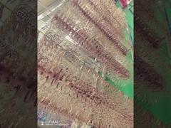 Titanium Alloy Kacamata frame PVD mesin pelapis