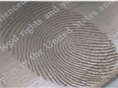 Sistem Metalisasi Vakum Tinggi, Unit Lapisan penguapan termal untuk Pencitraan Tanda Jari